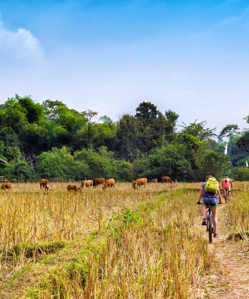 Burma cycling holiday - Myanmar bike tour
